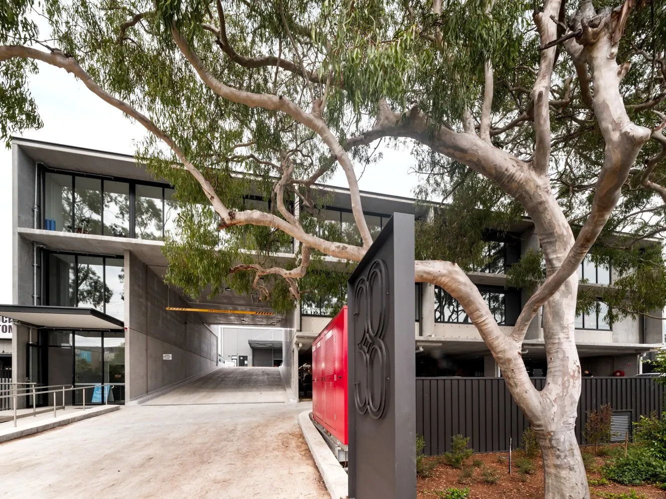 Modern architectural building with tree in foreground.